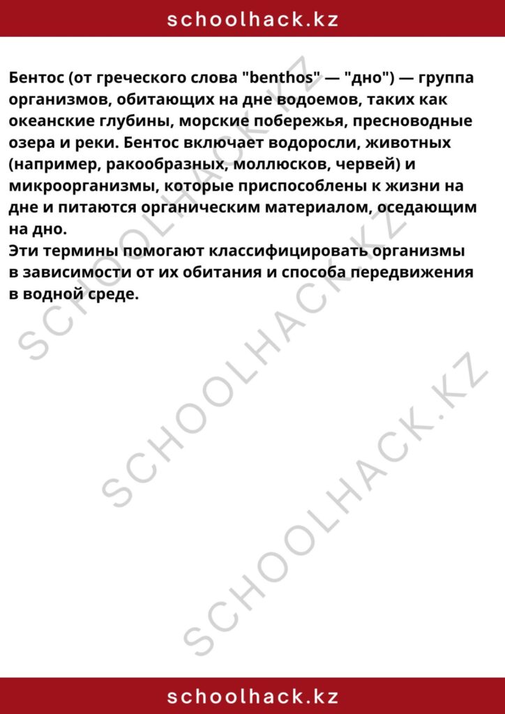 schoolhack.kz_8 (20)