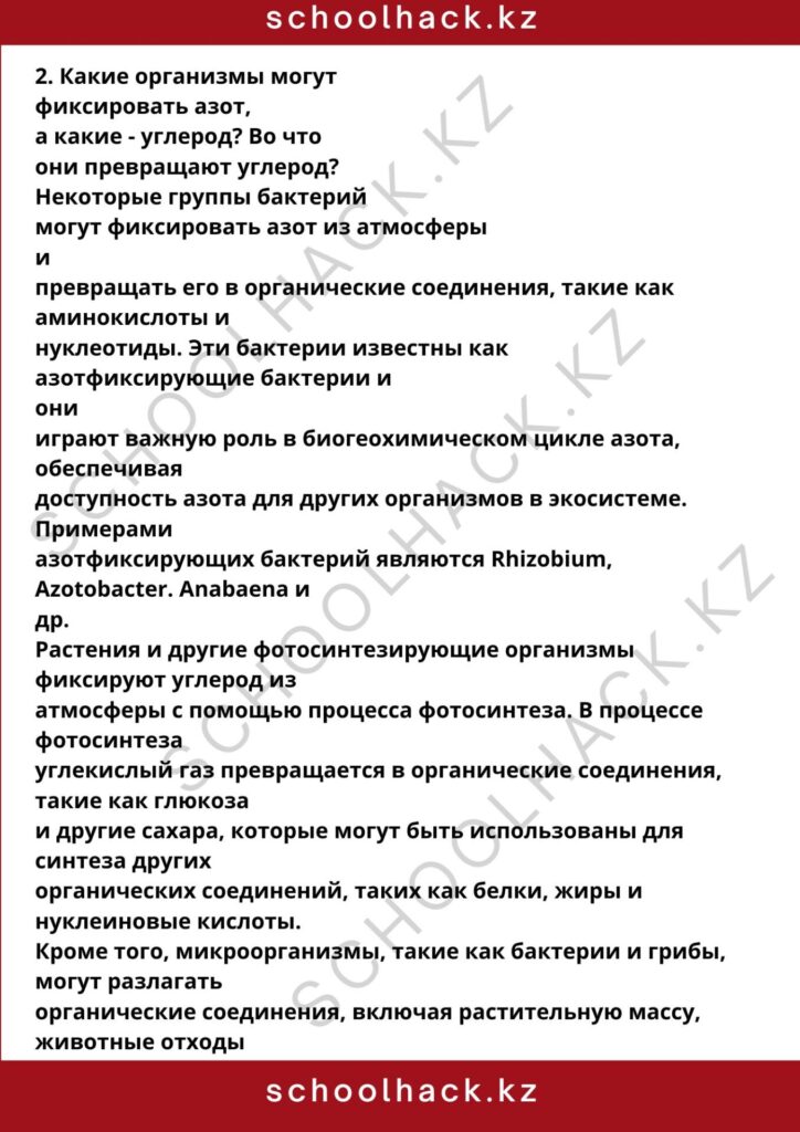 schoolhack.kz_8 (20)