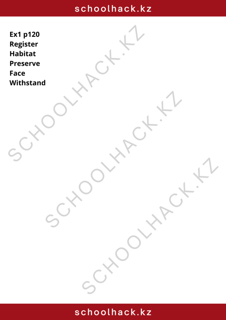 schoolhack.kz_8 (21)