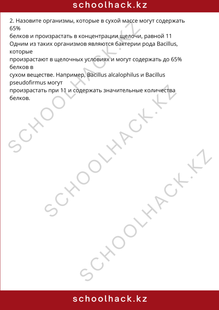 schoolhack.kz_8 (21)