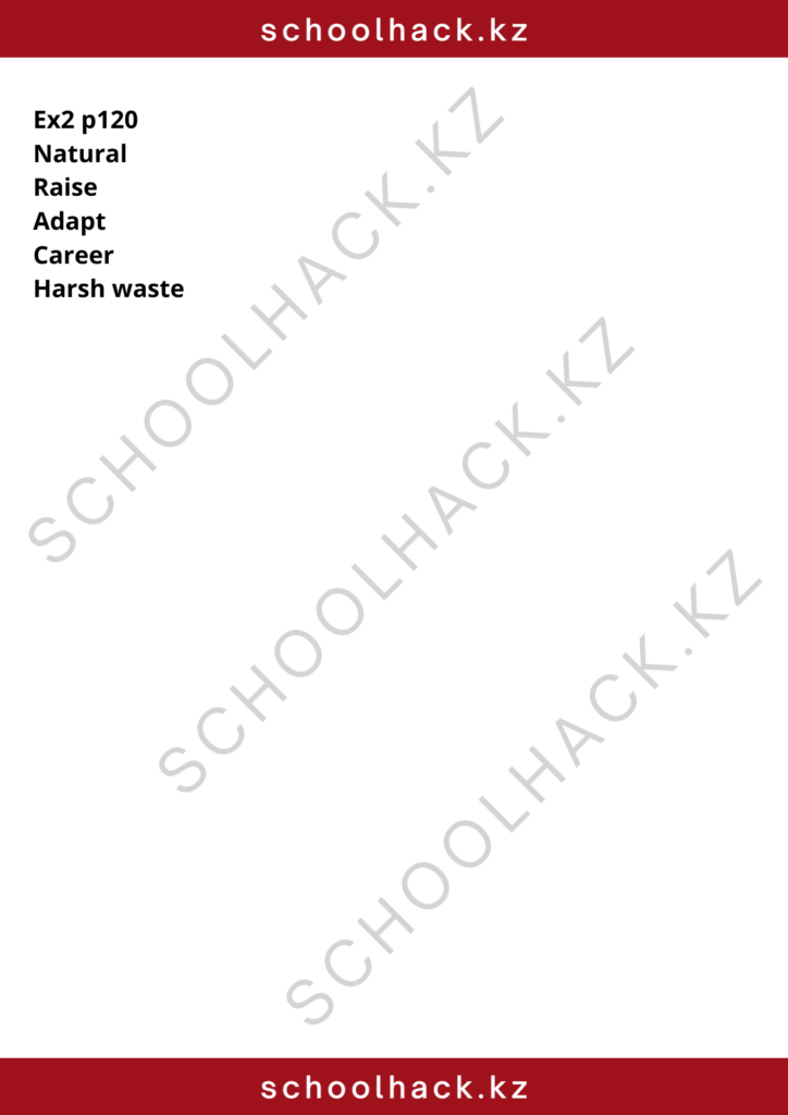 schoolhack.kz_8 (22)