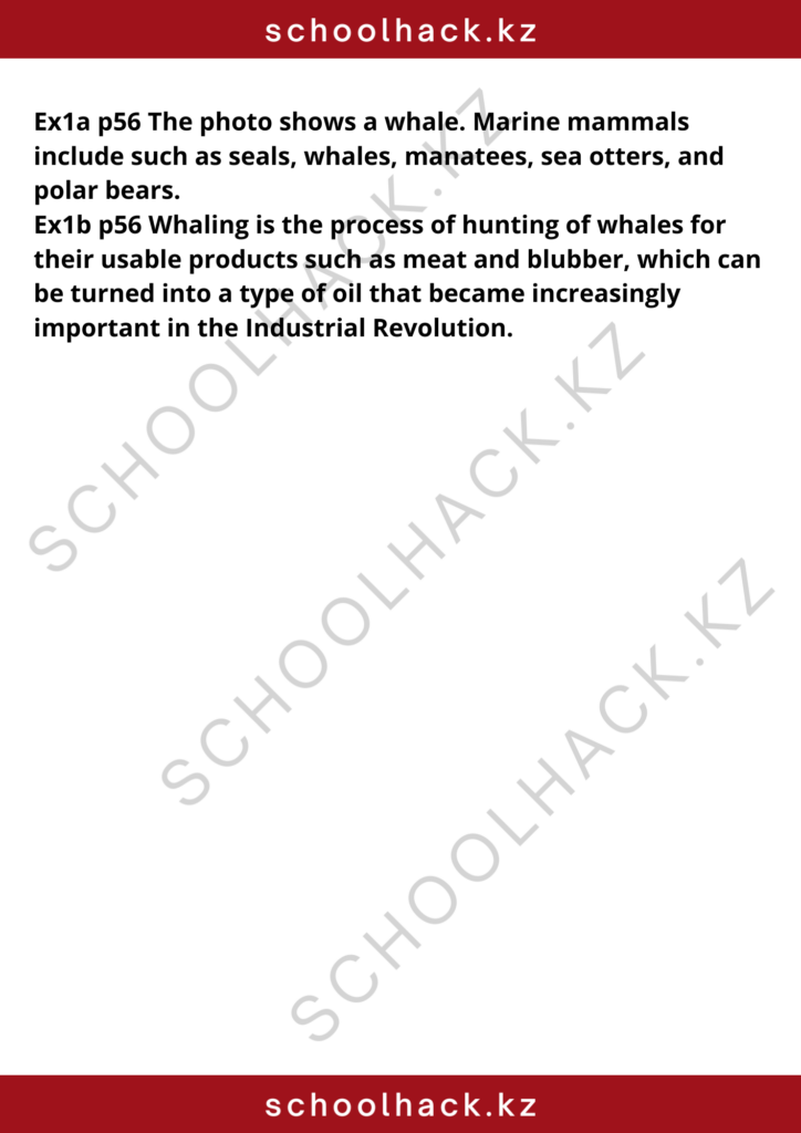 schoolhack.kz_8 (24)