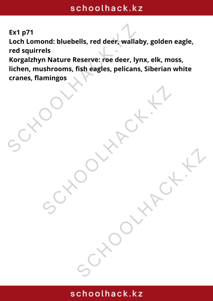 schoolhack.kz_8 (24)