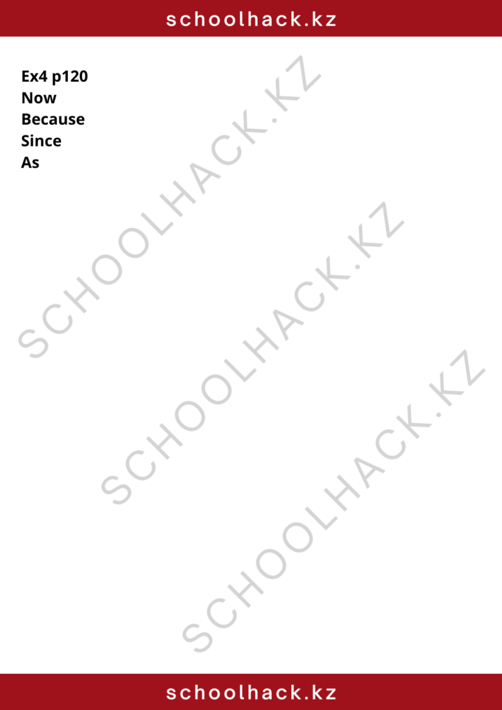 schoolhack.kz_8 (24)
