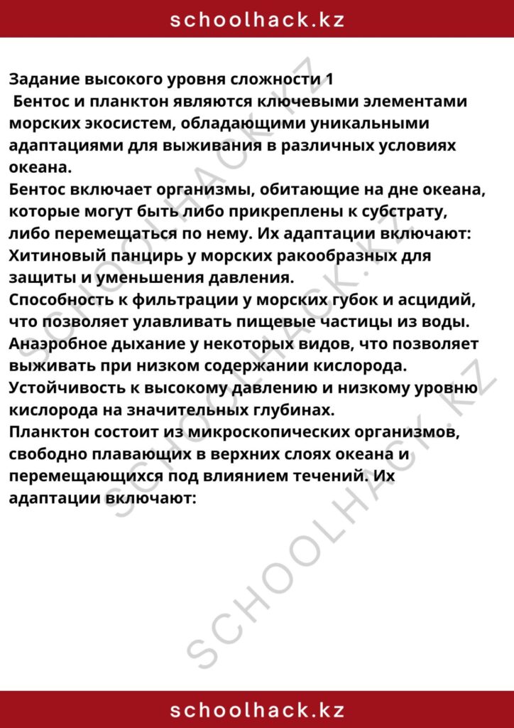 schoolhack.kz_8 (24)