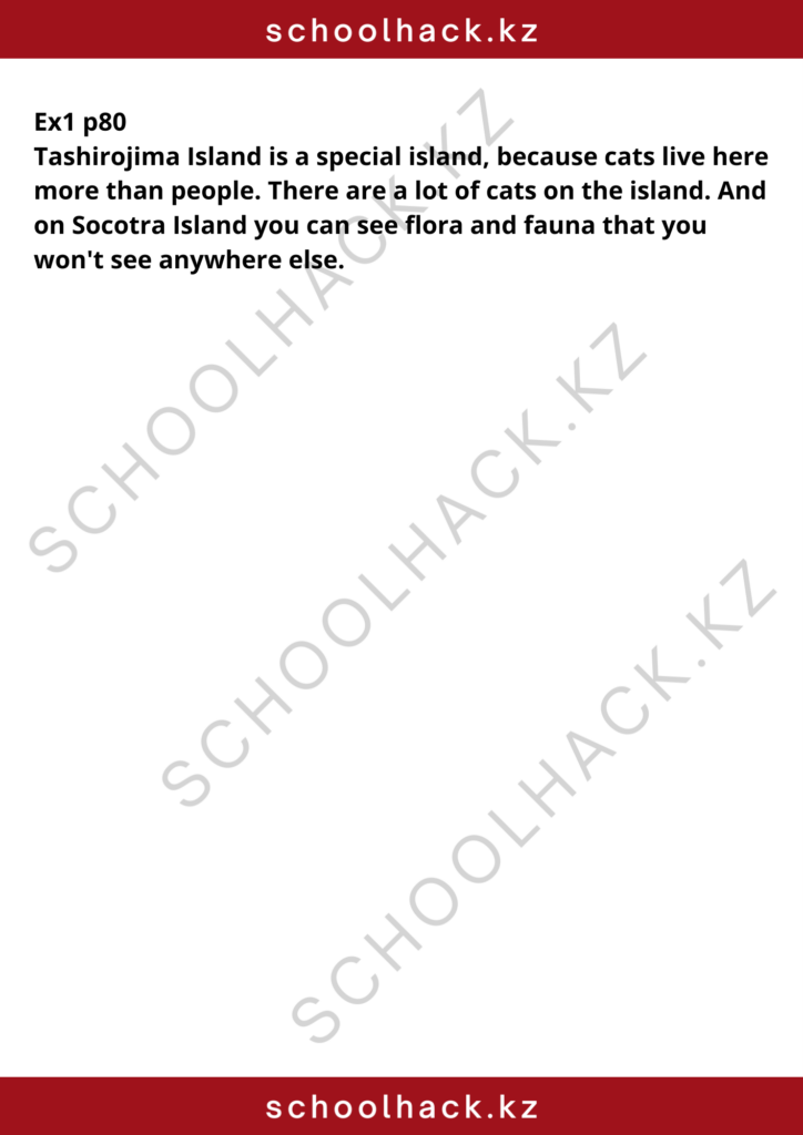 schoolhack.kz_8 (25)