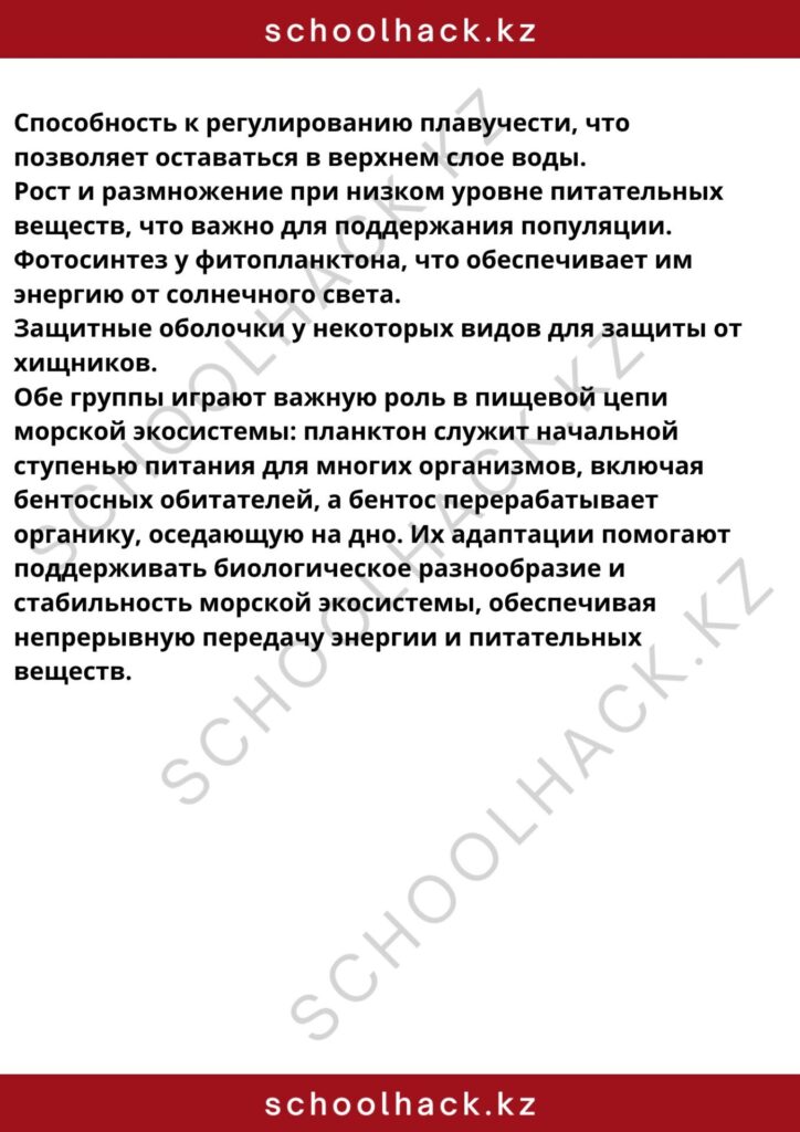 schoolhack.kz_8 (25)