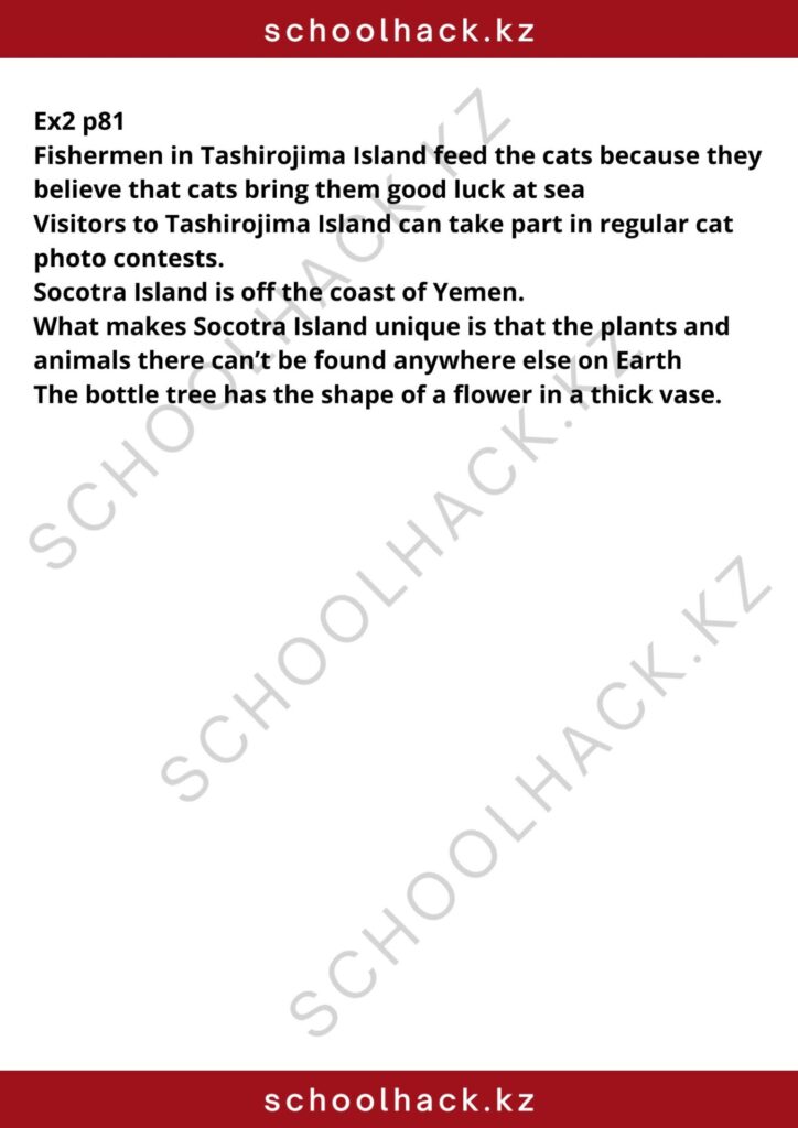 schoolhack.kz_8 (26)