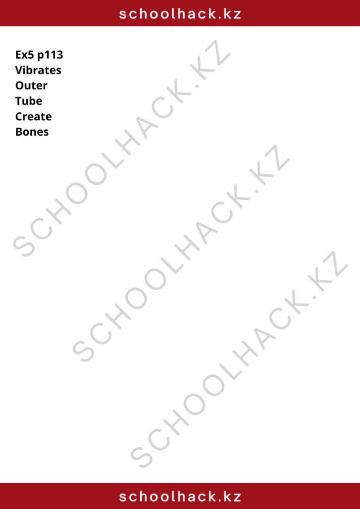 schoolhack.kz_8 (26)