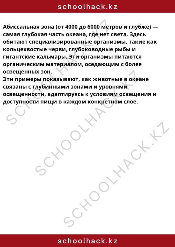 schoolhack.kz_8 (27)