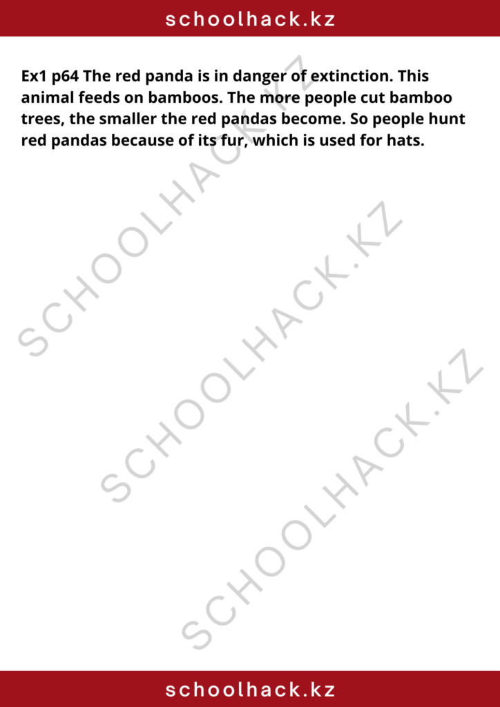 schoolhack.kz_8 (3)