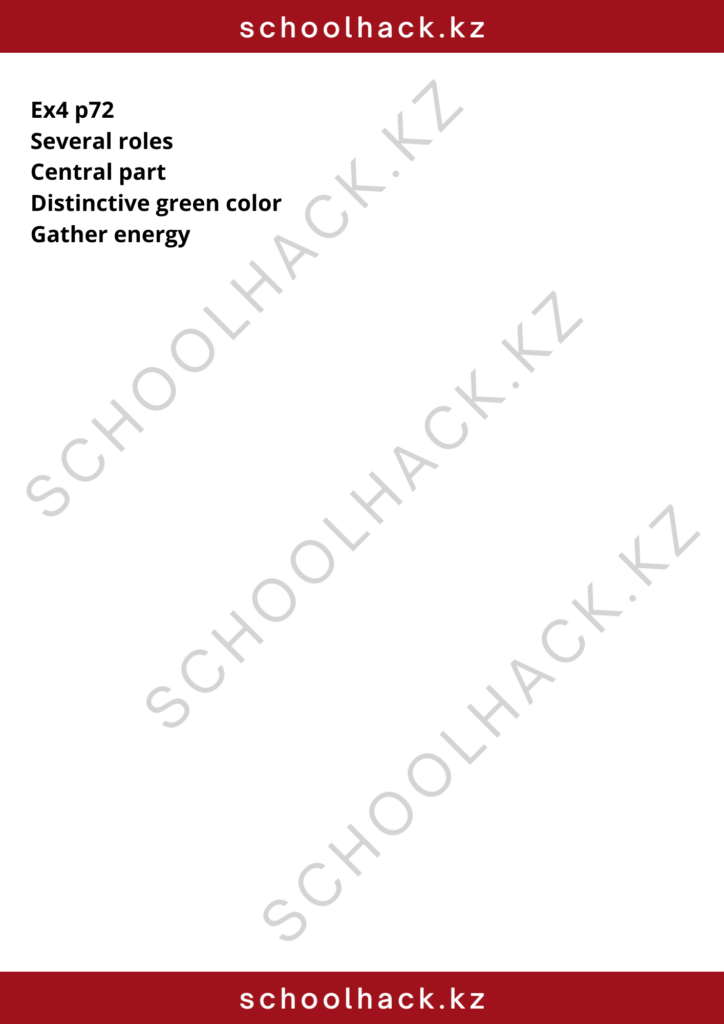 schoolhack.kz_8 (3)