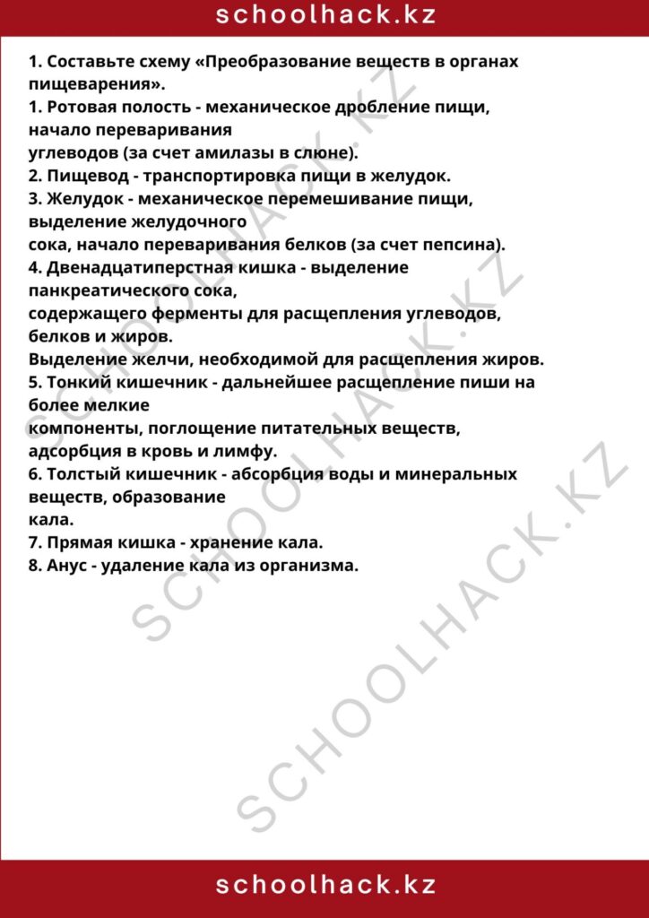schoolhack.kz_8 (30)