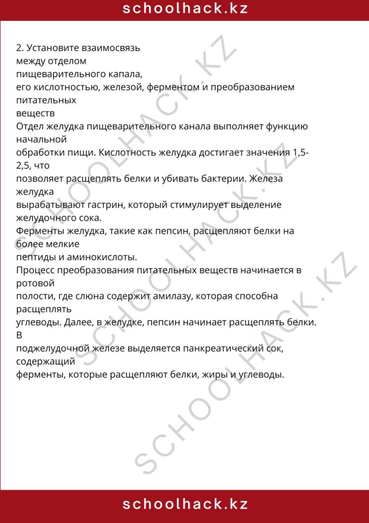 schoolhack.kz_8 (31)