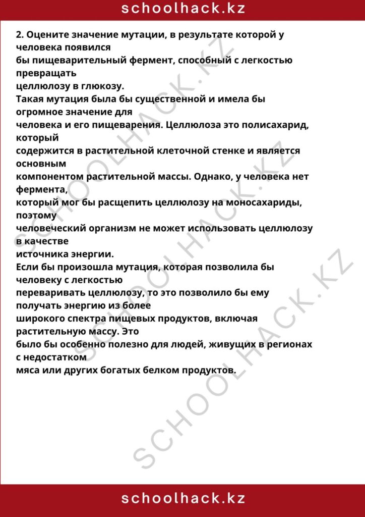 schoolhack.kz_8 (33)