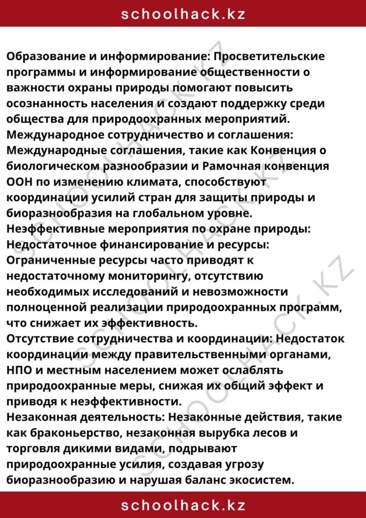 schoolhack.kz_8 (35)