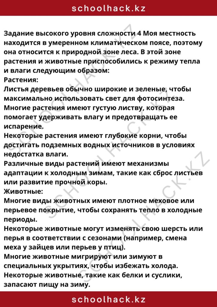 schoolhack.kz_8 (4)