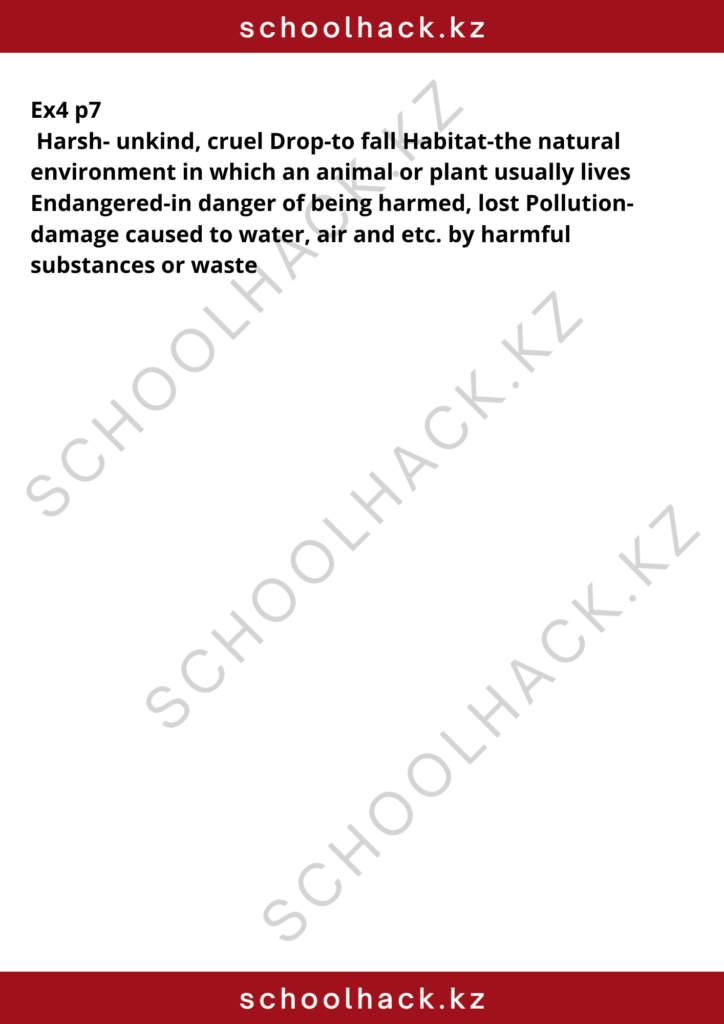 schoolhack.kz_8 (4)