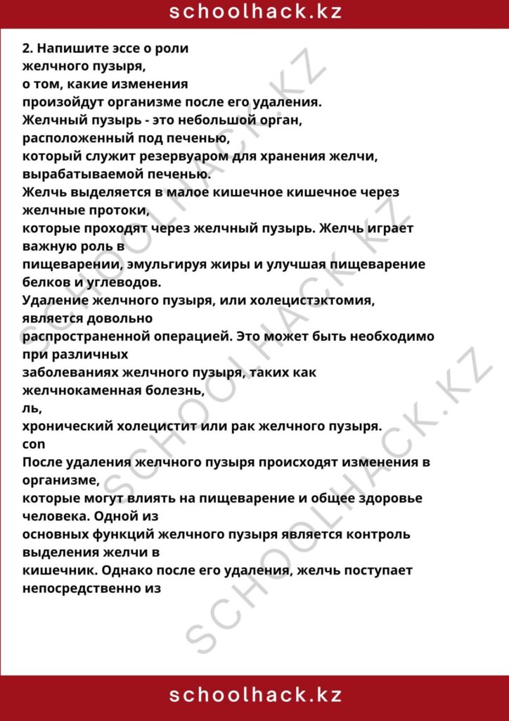 schoolhack.kz_8 (40)