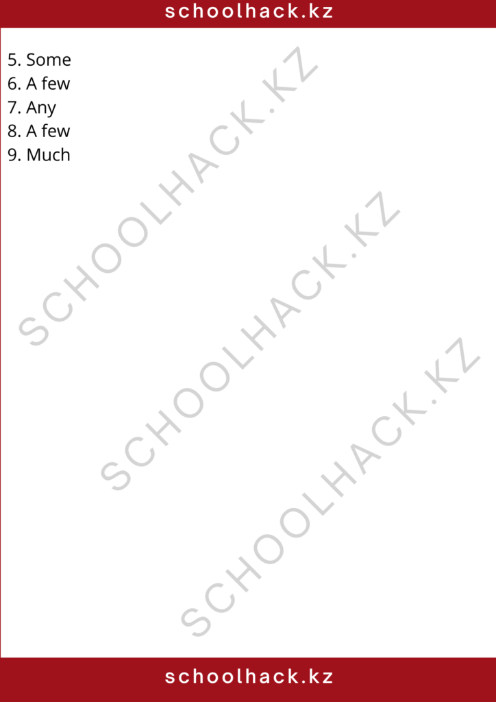 schoolhack.kz_8