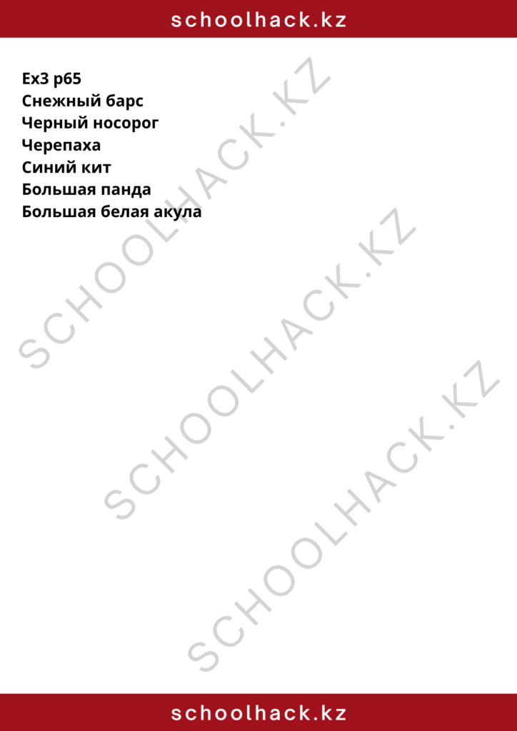schoolhack.kz_8 (5)