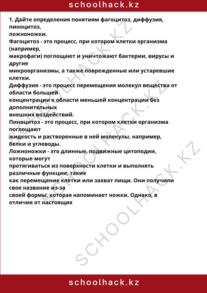 schoolhack.kz_8 (53)