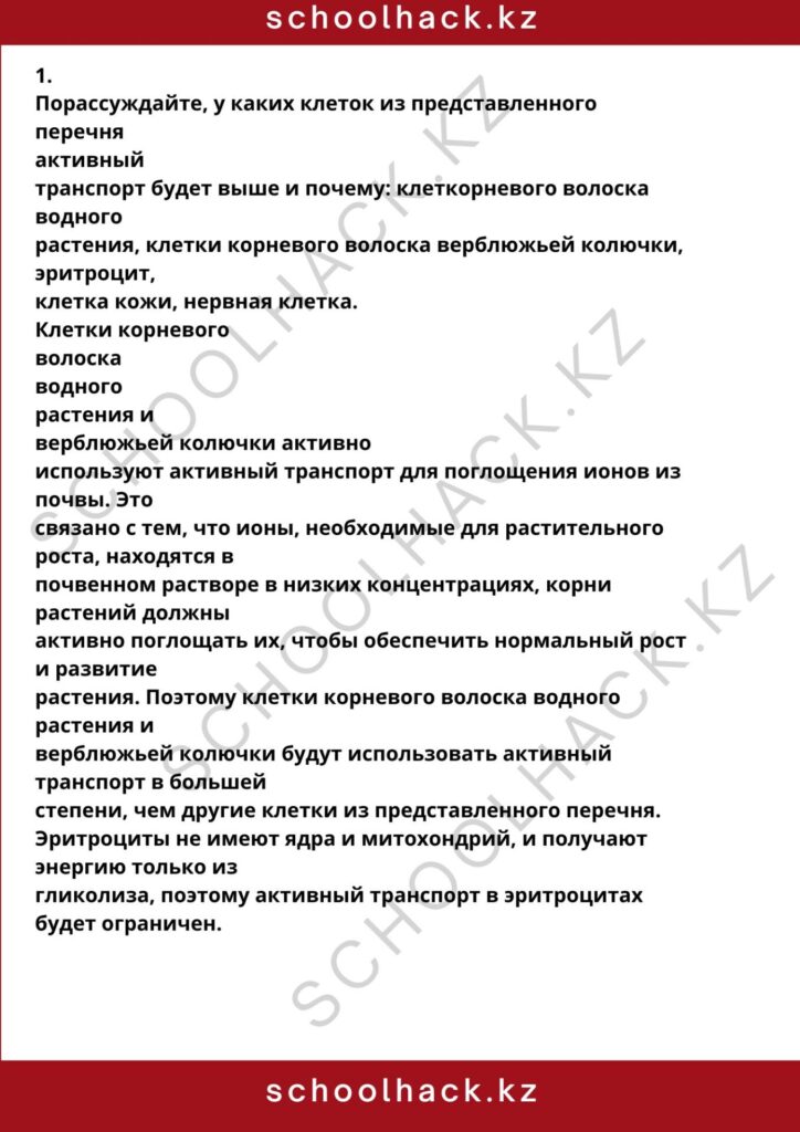 schoolhack.kz_8 (56)