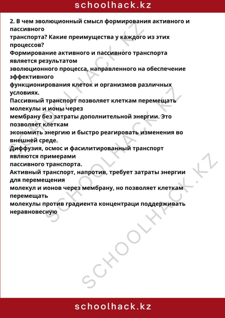 schoolhack.kz_8 (57)