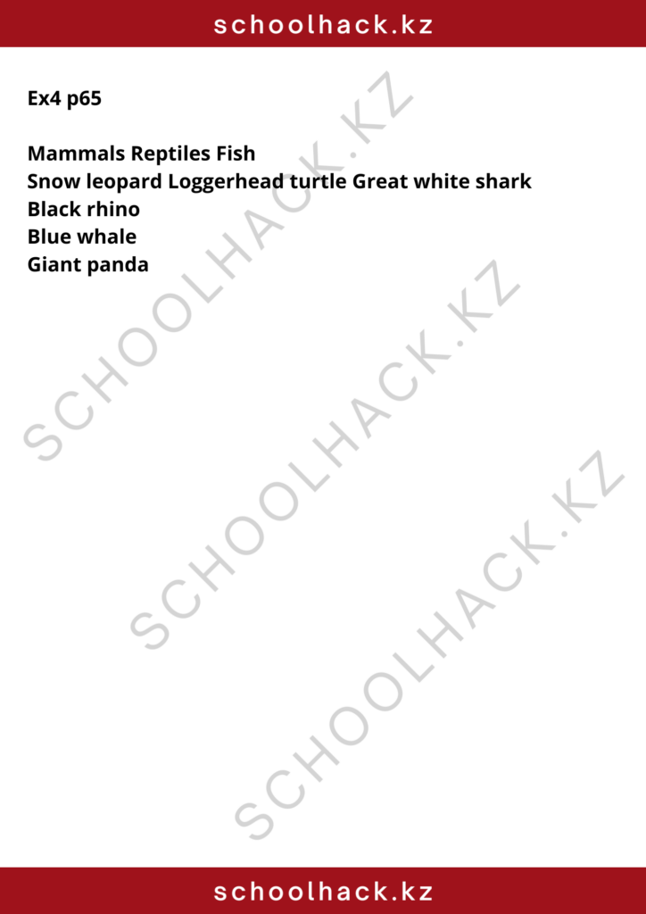 schoolhack.kz_8 (6)