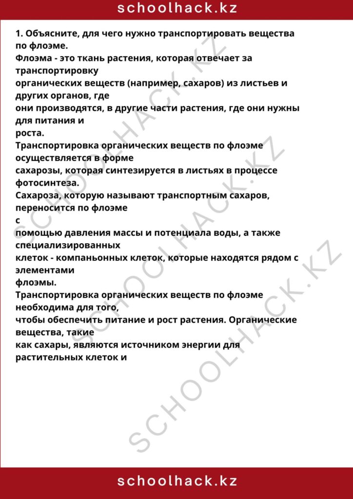 schoolhack.kz_8 (60)