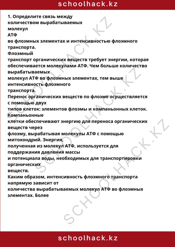 schoolhack.kz_8 (62)