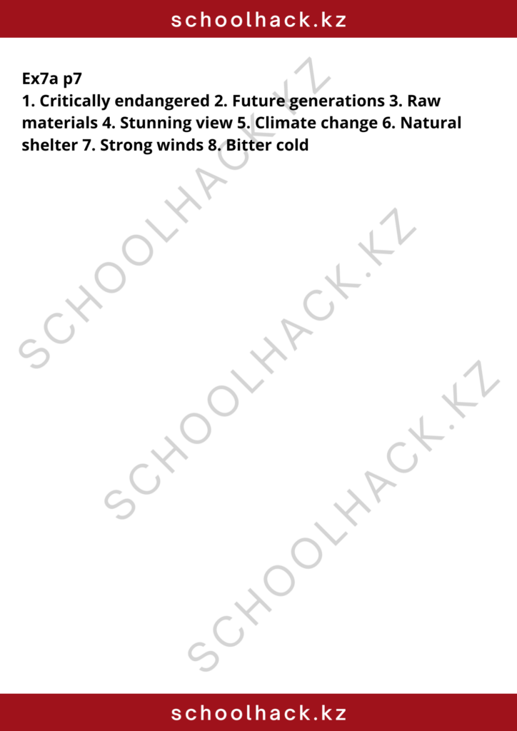 schoolhack.kz_8 (7)