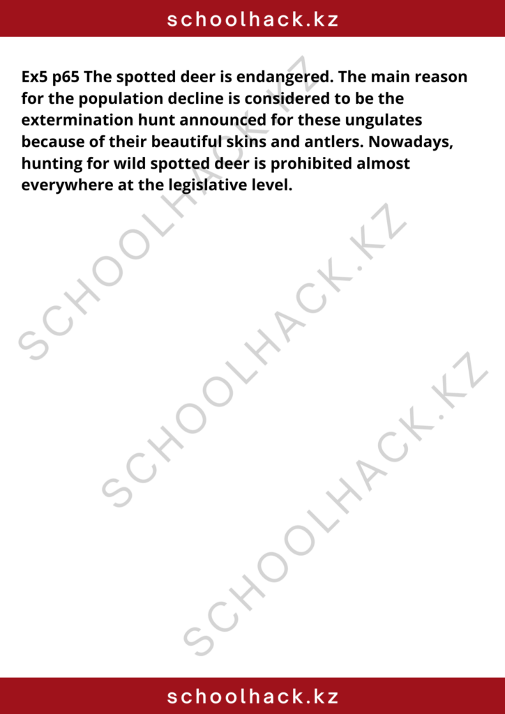 schoolhack.kz_8 (7)