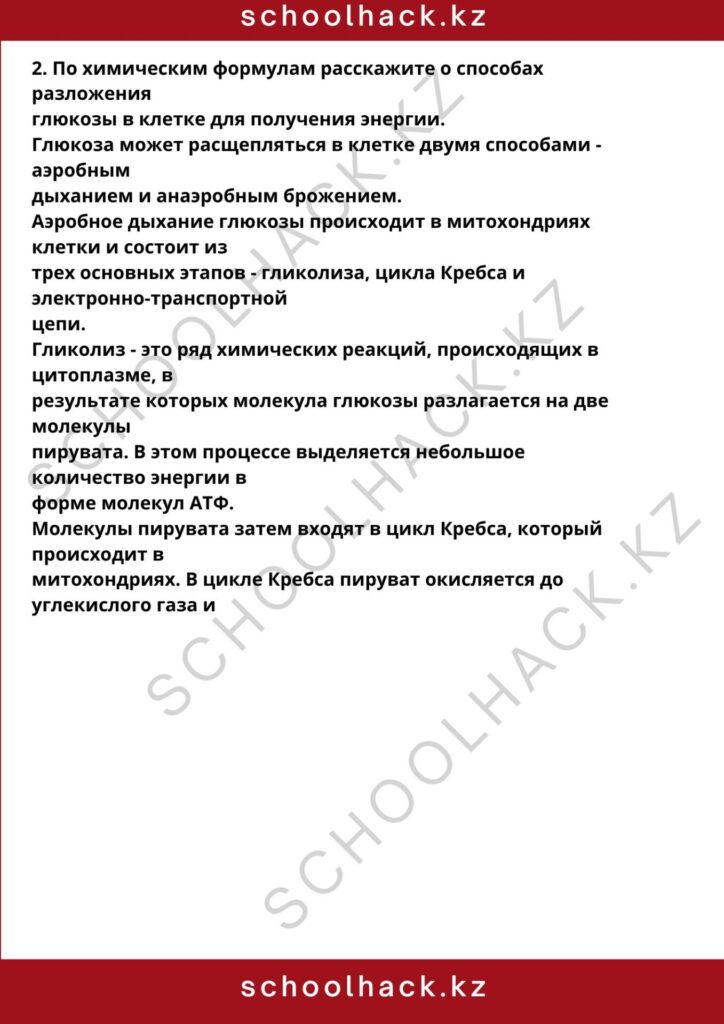 schoolhack.kz_8 (72)