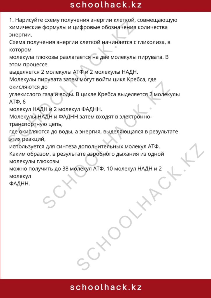 schoolhack.kz_8 (73)