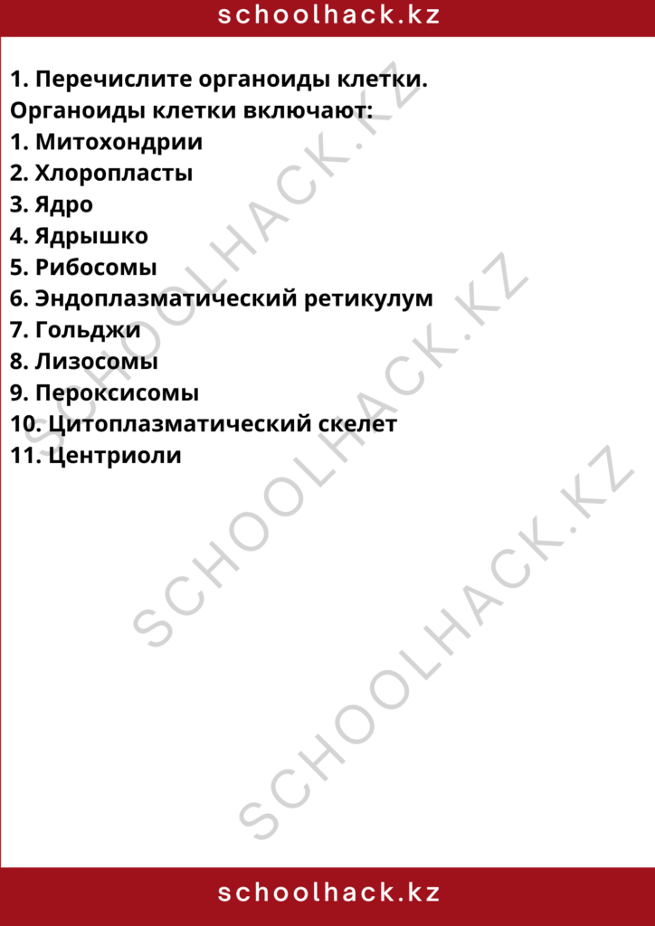 schoolhack.kz_8 (78)