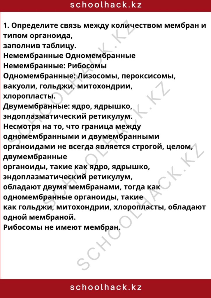 schoolhack.kz_8 (80)