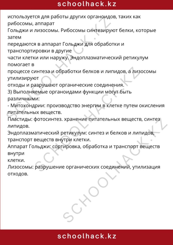 schoolhack.kz_8 (85)