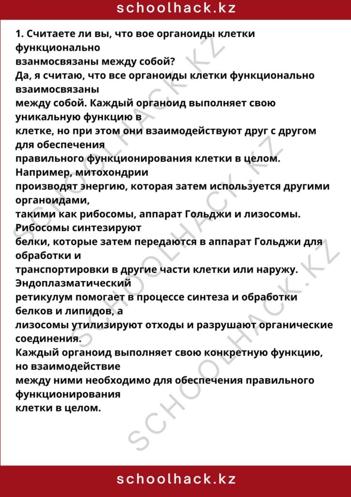 schoolhack.kz_8 (87)