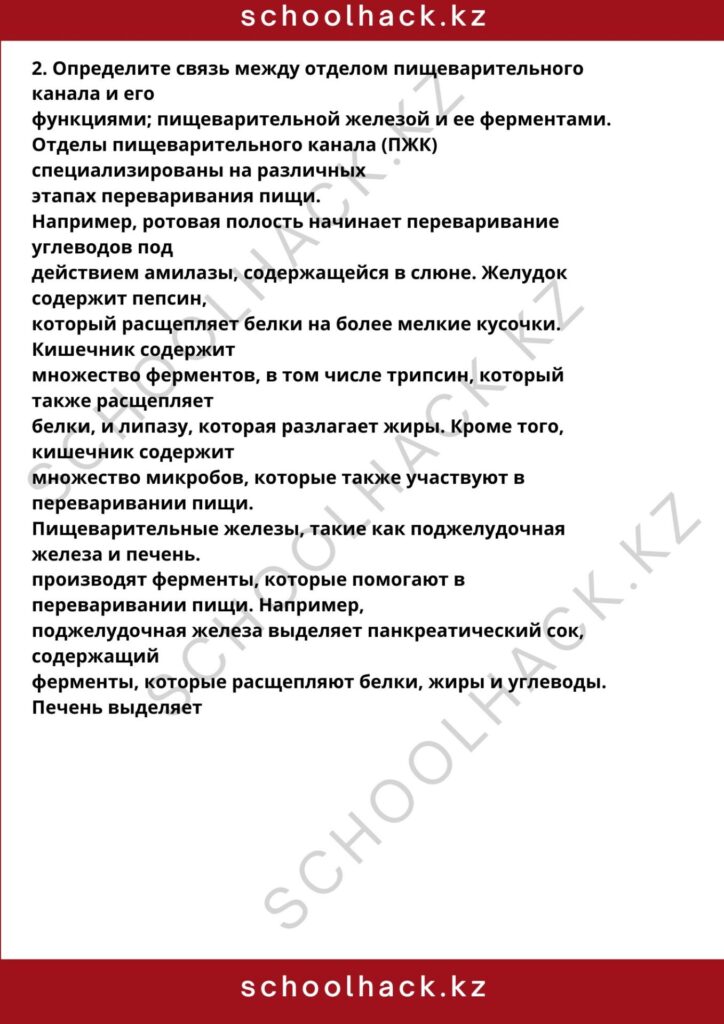 schoolhack.kz_8 (9)
