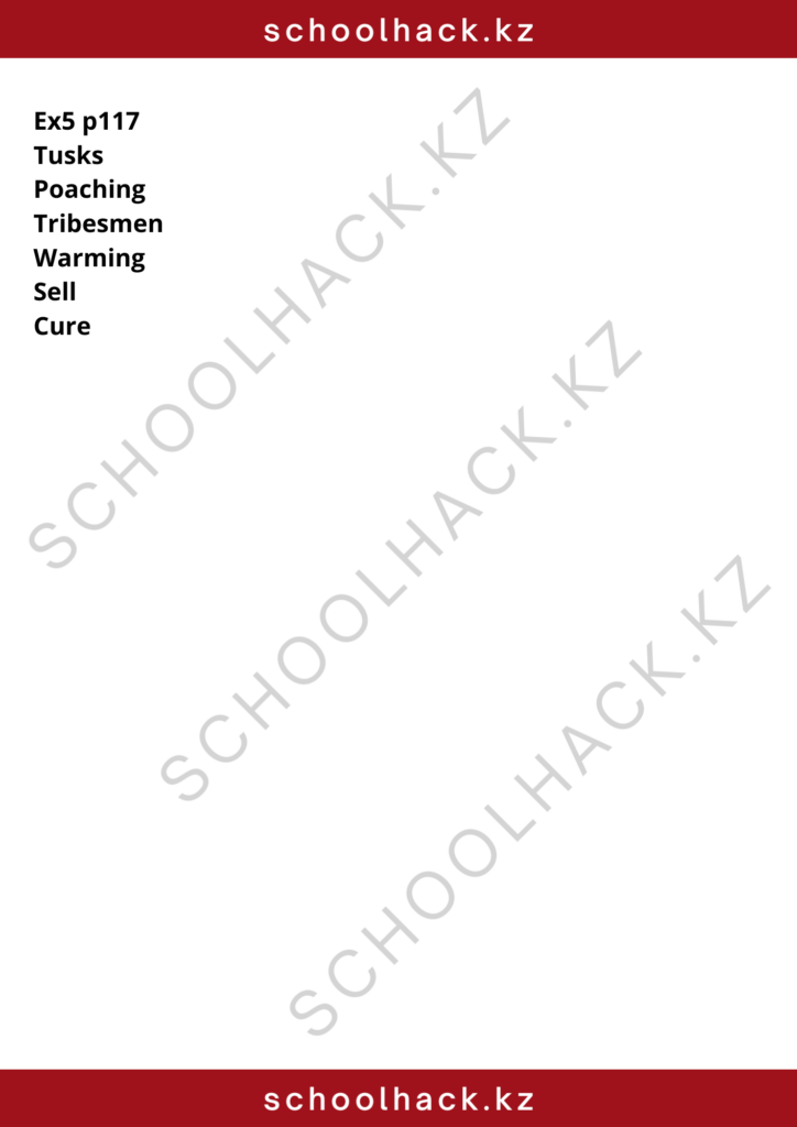 schoolhack.kz_8 (9)