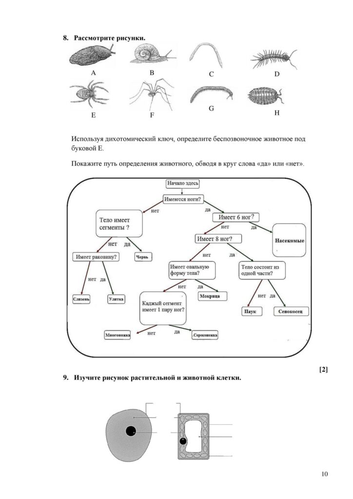 SOCh_Biologia_7kl_rus_V2-page-010