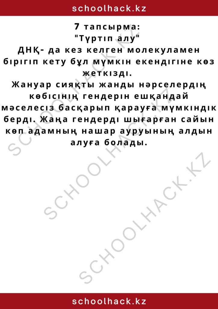 schoolhack.kz_2 – 2024-10-15T183330.993