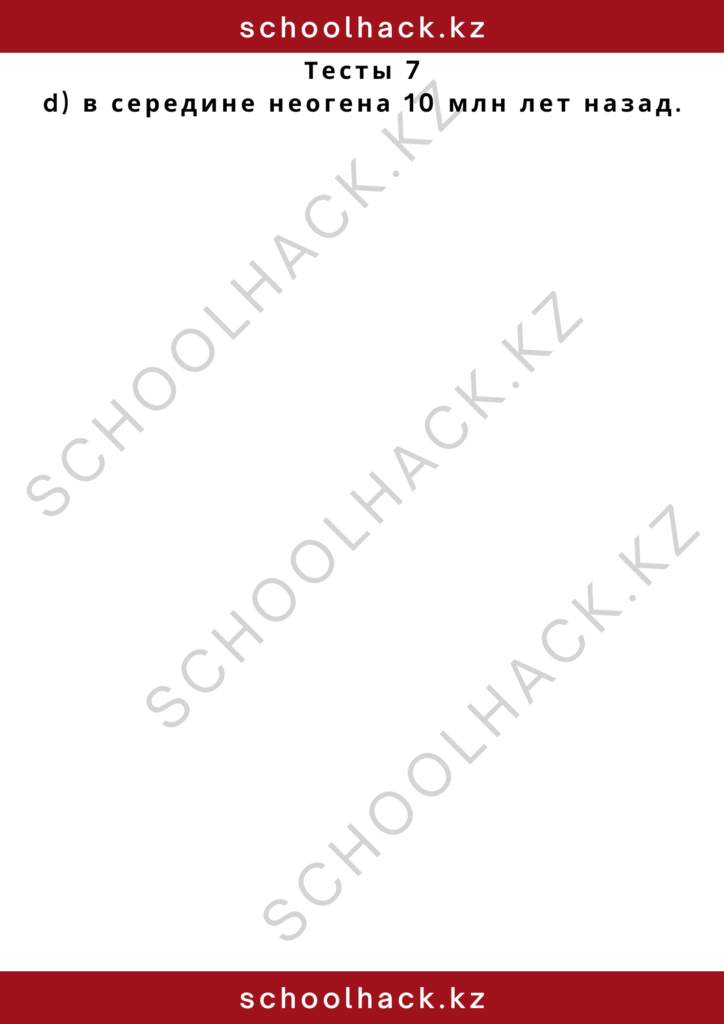 schoolhack.kz_2 – 2024-10-24T175657.254