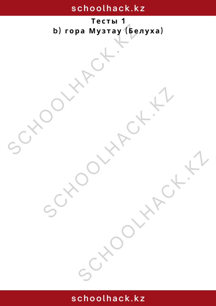 schoolhack.kz_2 – 2024-10-25T125357.861
