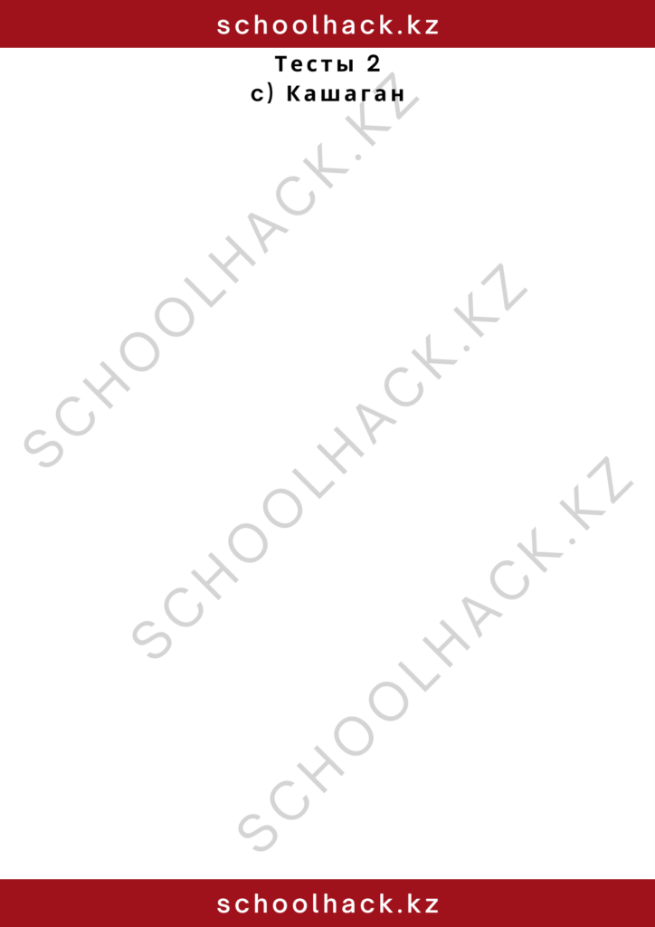 schoolhack.kz_2 – 2024-10-26T173655.370