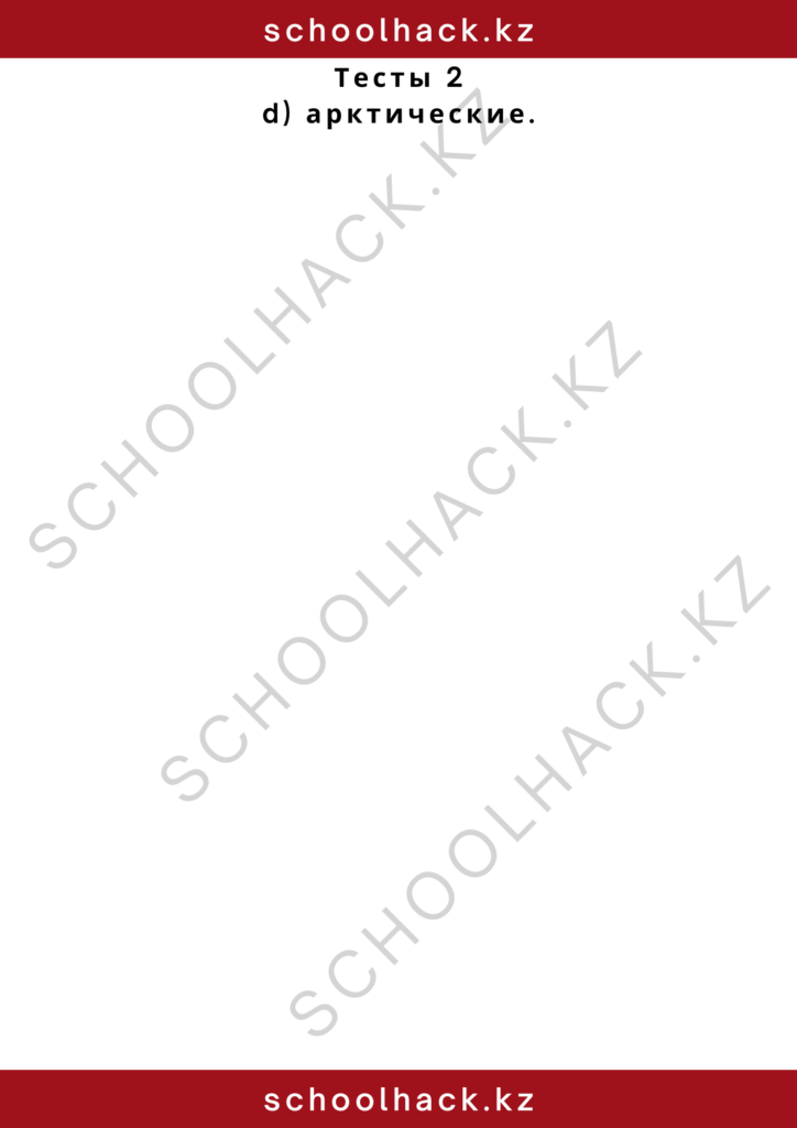 schoolhack.kz_2 – 2024-10-28T193446.335