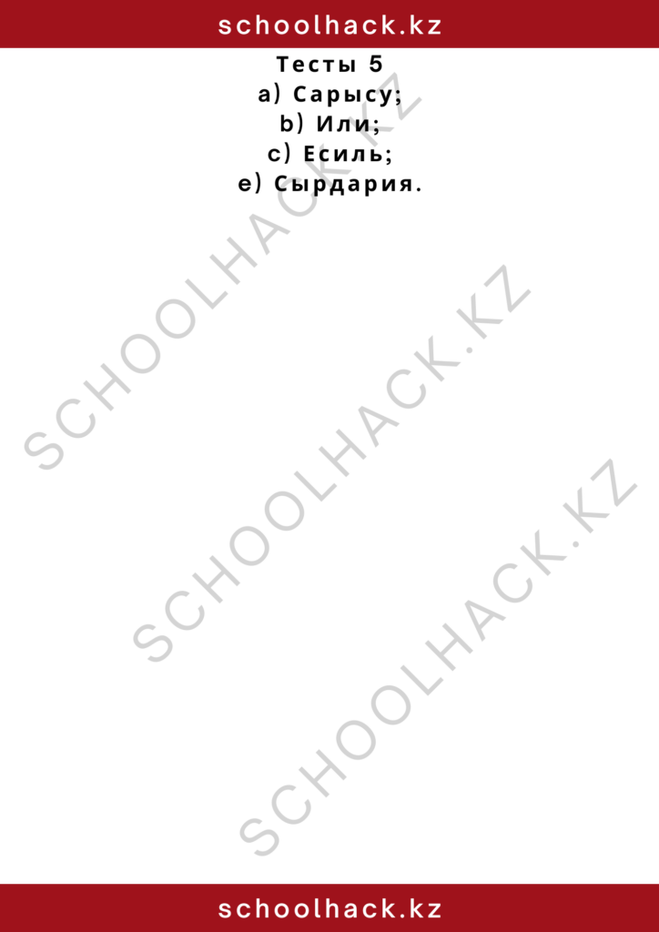 schoolhack.kz_2 (47)