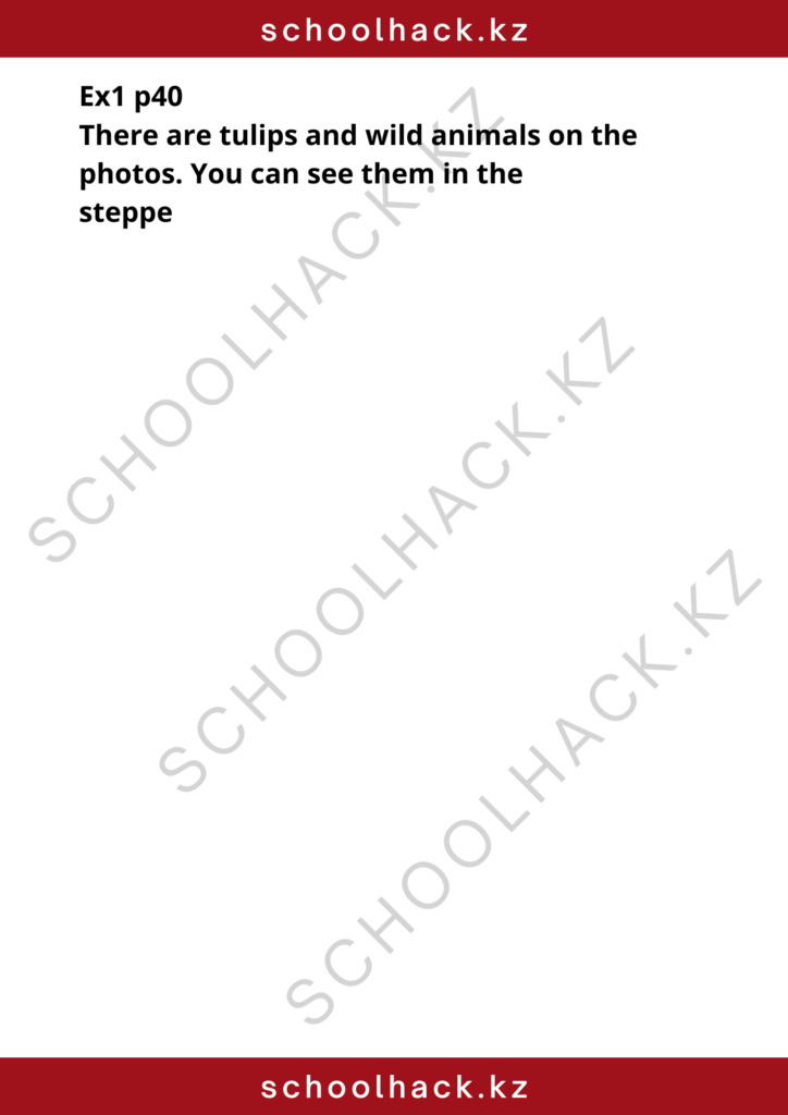 schoolhack.kz_8 (51)